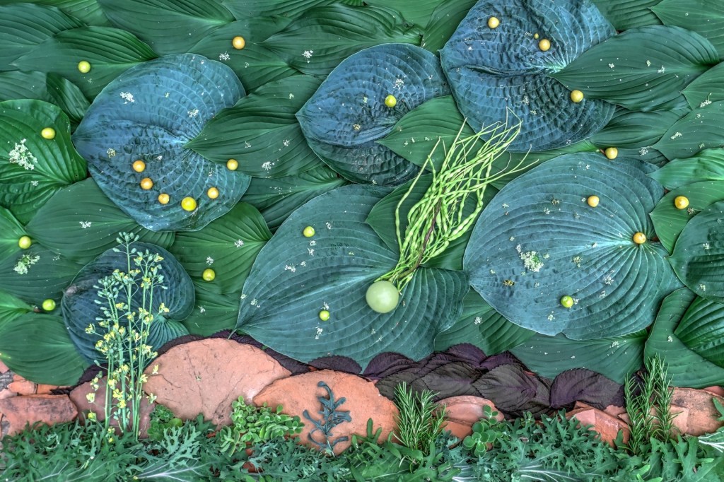 Comet Toma Verde: Michael Tomb & Marcia Zach’s Celestial Homage in Organic&nbsp;Form